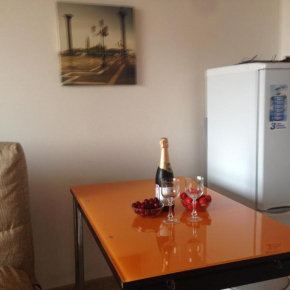 Apartment on Prosveshenie 167